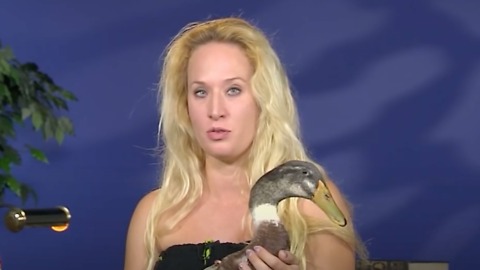 Check Out This Adorable Therapy Duck