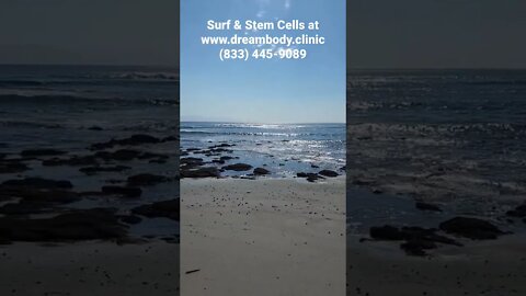 Surf & Stem Cells at www.dreambody.clinic #surf #surfing #stemcells #stemcelltherapy #heal #health