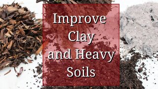 Improve Clay Soil
