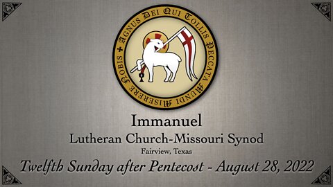 Twelfth Sunday after Pentecost - August 28, 2022