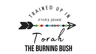 The Burning Bush- Exodus 3&4 Sabbath School Lesson