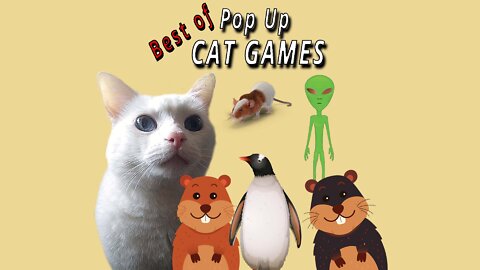 CAT GAMES: Best of Pop Ups!