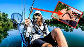 Searching for the WINNING Bass (Kayak Tournament Fishing)