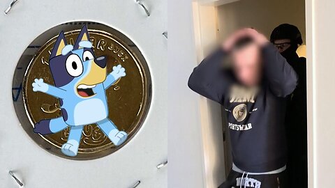 Unreleased 'Bluey' Collector's Coins Worth Nearly $400,000 Stolen