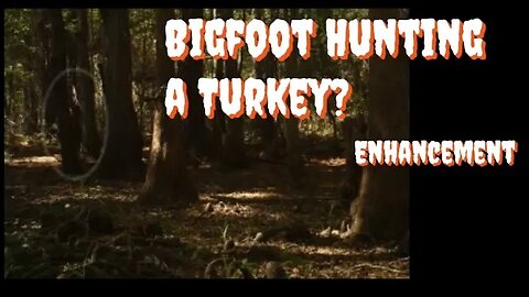 Bigfoot Hunting a Turkey? | Enhancement