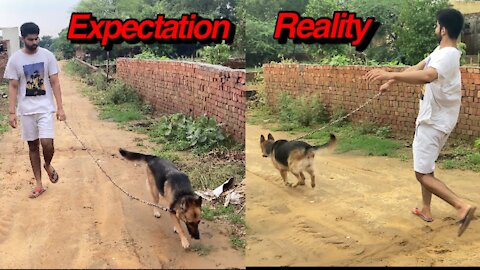 German shepherd Aggression Control- 6th Day Dog Training: Important Door & Leash Manners -Hindi