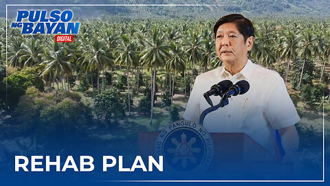 PCA, inatasan ni PBBM na gumawa ng rehab plan para sa coconut industry; 100-M niyog, target itanim