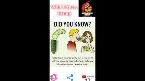 🔥Cucumber kills the bacteria in your mouth causing bad breath🔥#fitness🔥#wildfitnessgroup🔥#shorts🔥