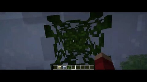 Minecraft Renewed - New Vines and Ladders