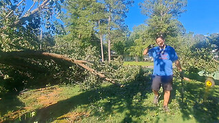 Storm Damage: Clearing a Broken Tree