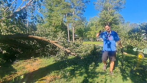Storm Damage: Clearing a Broken Tree