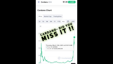 Cardano is Pumping! What you would have today with just $1k in Cardano one year ago!