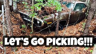 We found mopar In the woods! #Plymouth satellites #old cars #rescue mission #vintage cars