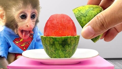 Baby monkey Bon Bon and puppy play with lego car and harvest watermelons in the garden