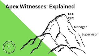 Apex Witnesses - Explained