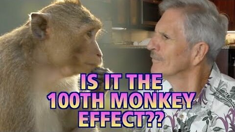 Is It The 100th Monkey Effect?