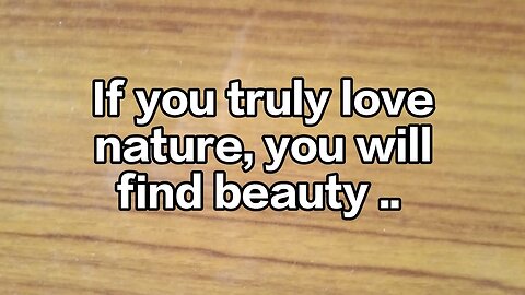 If You Truly Love Nature, You Will Find Beauty Everywhere | Nature's Wonders Revealed