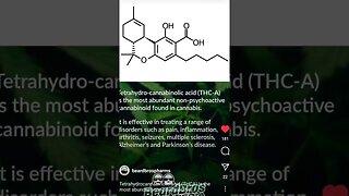 What is THC-A ? (TETRAHYDRO-CANNABINOLIC ACID) #shorts