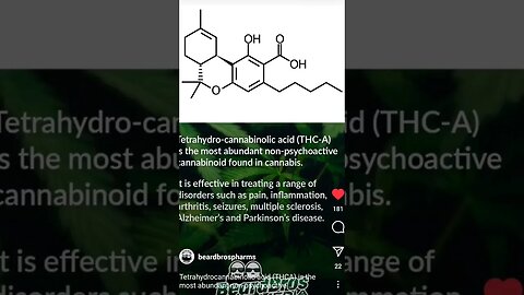 What is THC-A ? (TETRAHYDRO-CANNABINOLIC ACID) #shorts