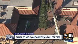 Giant Christmas tree arrives in Anthem