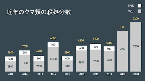 Why are abandoned planted forests problems in Japan ??