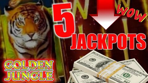 🐯 MASSIVE 5 JACKPOTS!! EPIC RUN on Golden Jungle! High Limit Slot Play!