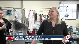 Pet groomer forced out of Broad Ripple due to zoning