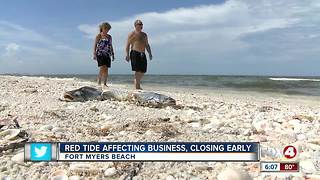 Beach businesses hurting from lingering red tide