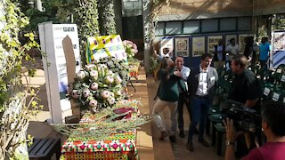 SOUTH AFRICA - Cape Town - South African National Biodiversity Institute unveils the 2019 Chelsea Flower Show Design (Video) (zha)