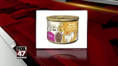 Purina issues recall due to rubber pieces found in cat food