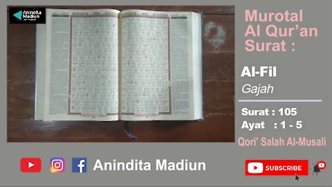 Al-Qur'an Surat 105 Al-Fil الْفِيلِ = Gajah | Murotal Al Qur’an | Qori’ Salah Al-Musali