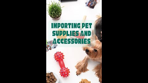 How to Import Pet Supplies and Accessories for Your Online Store
