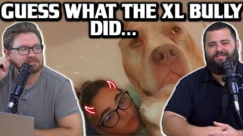 Guess What the XL Bully Did - EP178