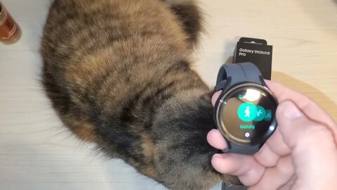 GALAXY WATCH5 PRO, initial review, featuring my lovely assistant Lola Cat.