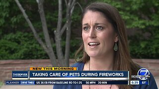 Taking care of pets during fireworks