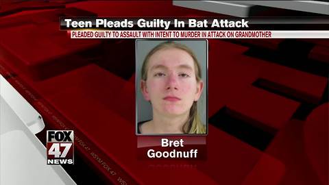 Teen accused of beating Grandma with baseball bat pleads guilty