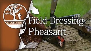 Field Dressing Game: Pheasant Breast Only