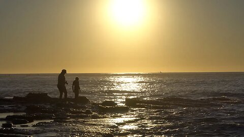 CatTV: CATWALK - walk along Sunset Cliffs during sunset