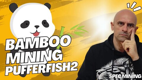 BAMBOO COMPLETE Guide for CPU & GPU Mining Pufferfish 2 !Spec Mining! 2022⛏☢ #crypto #bamboo