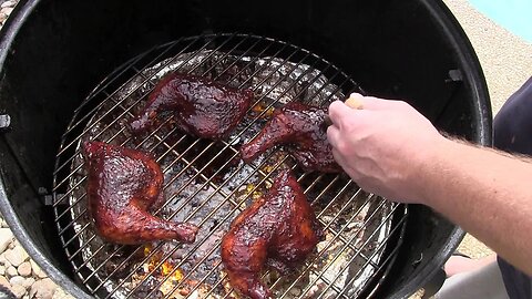 WSM Smoked Ribs & Chicken(2/2)