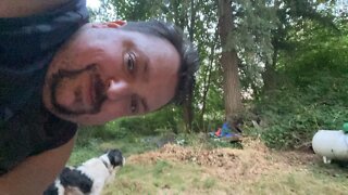 Cleaning back yard! Live!