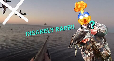 I KILLED AN EXTREMELY RARE DUCK!! Quack Smack ATTACK!
