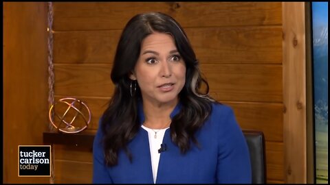 Tulsi Gabbard: This Is What I Hated When I Was In Congress...