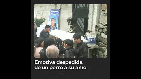 Un perro se despide en el funeral de su amo