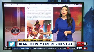 Hello humankindness: KCFD rescues kitty