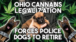 How Ohio’s Cannabis Program has Retired Police Dogs