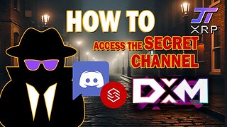 SwissTech Dexbot Discord Access Tutorial - How to Access the Channel