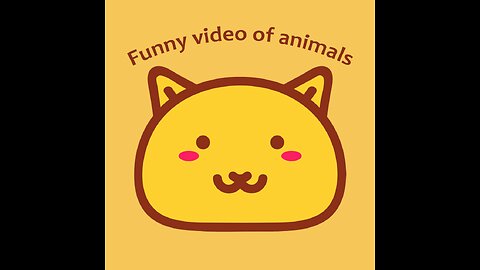 Funny Cats