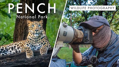 Wildlife Photography in Pench National Park | TIGER COUNTRY Ep. 1 - Leopard Quest