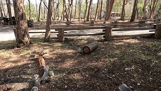 SLO-MO FORMAT (Squirrel Fights)